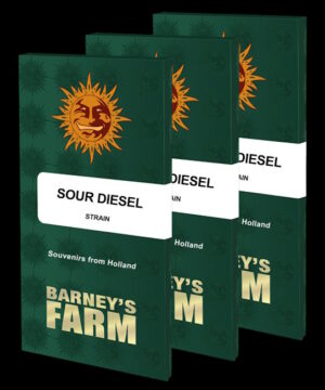 Sour Diesel Feminized Seeds - Barney's Farm