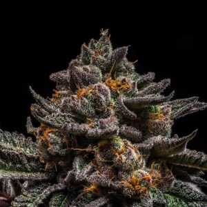 Brain Cake by Ripper Seeds