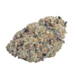 Growers Choice Seeds Double Donny Burger