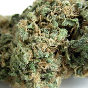 Original Skunk #1 Regular