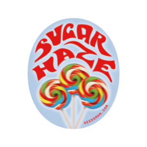 Sugar Haze Regular