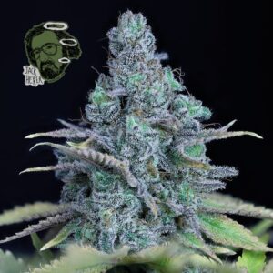 Jack Herer