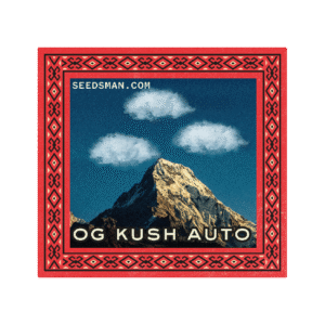 OG Kush Auto