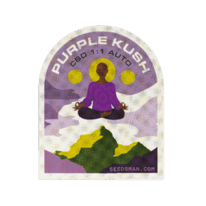 Purple Kush CBD 1:1 Auto