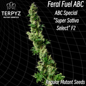 Feral Fuel ABC Regular