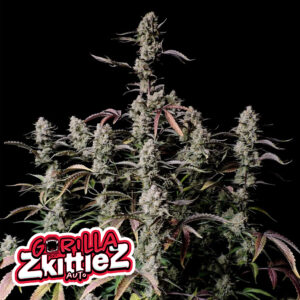 Gorilla Zkittlez Auto