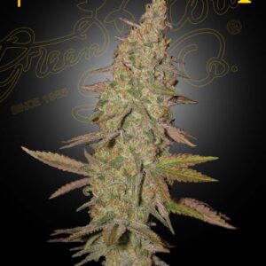 Arjan's Ultra Haze #1
