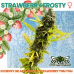 Strawberry-Frosty