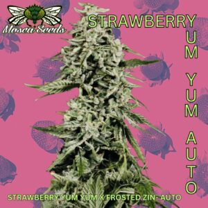 Strawberry Yum Yum Auto