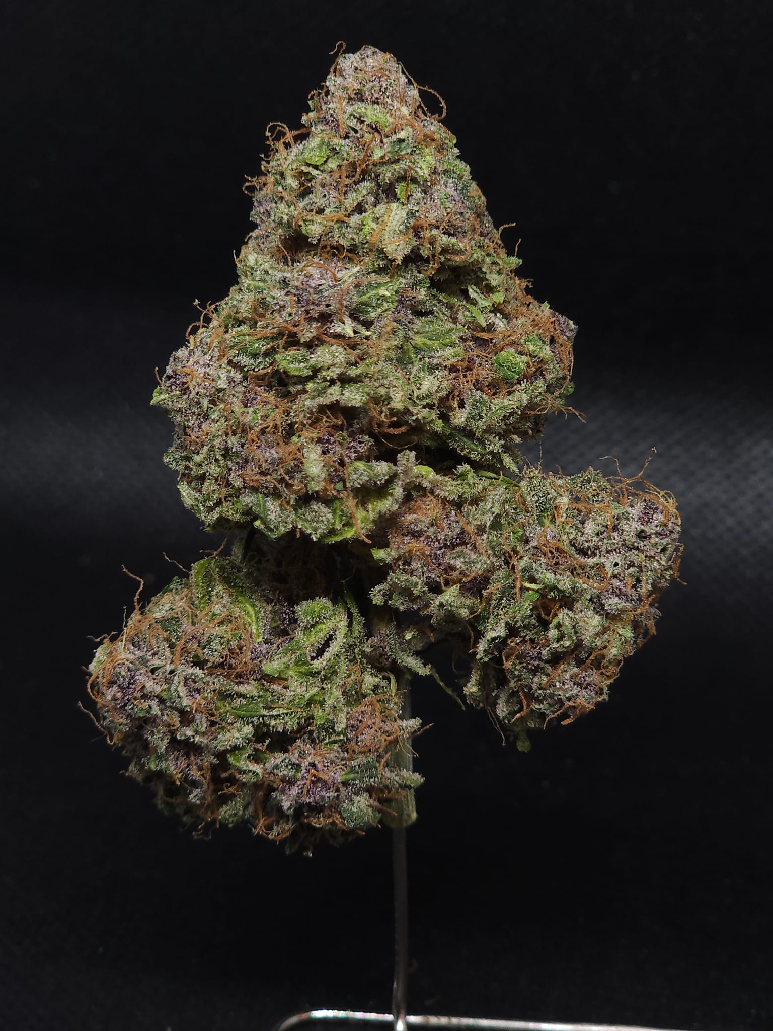 Midnight Bessie Auto - Image 3