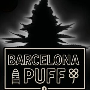 Barcelona Puff Auto Seeds by Seedstockers