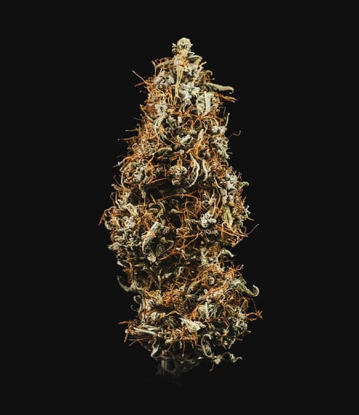 HulkBerry Auto - Image 2