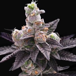 Baby Yoda x Nerds Rope