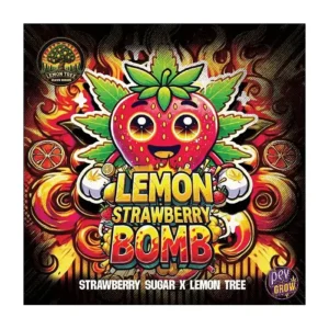 Lemon Strawberry Bomb