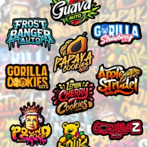 Fastbuds Mixed Pack Auto