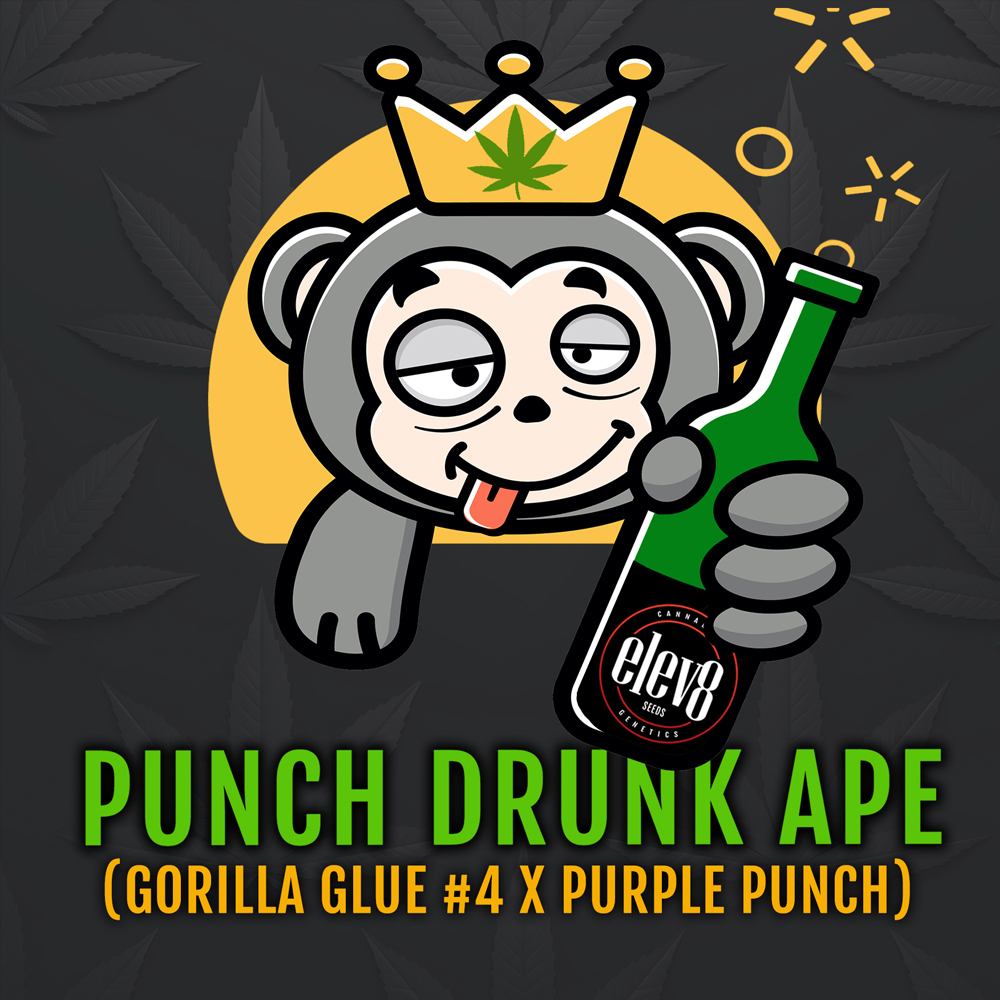 Punch Drunk Ape - Image 2