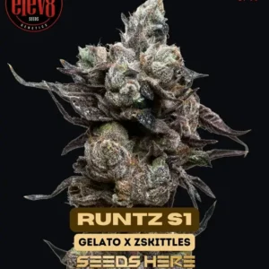 Runtz S1