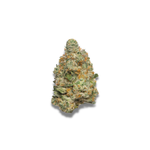 Apple Fritter Auto