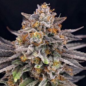 CandyGaz by Ripper Seeds