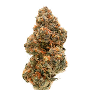 Weddingcake X Gelato Auto