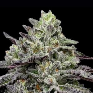 Smashberry Fumez by Anesia Seeds