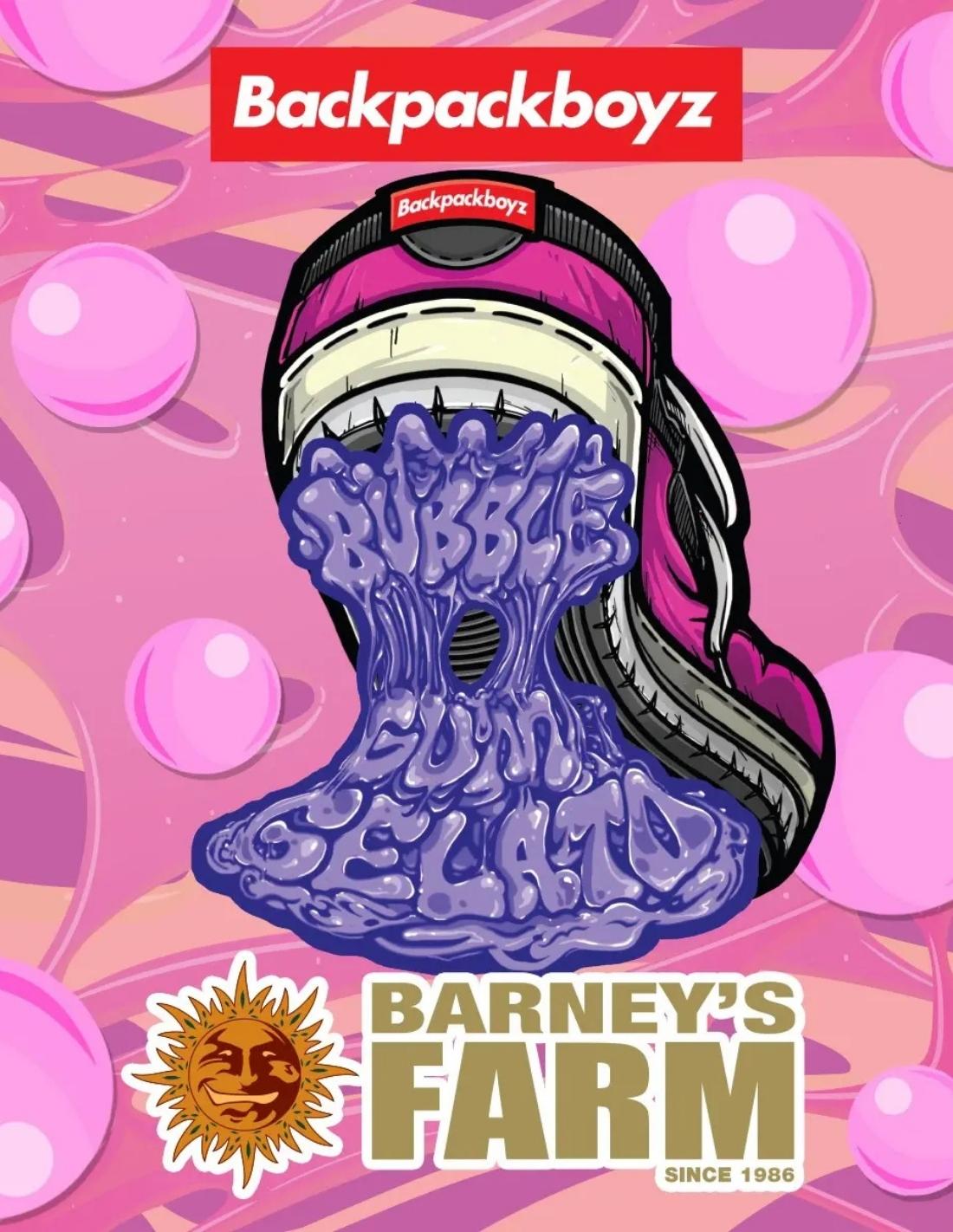 Bubblegum Gelato Feminized Seeds by Barney's Farm