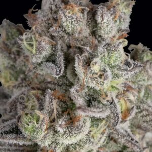 Jelly Cake Feminized Seeds by Barney's Farm