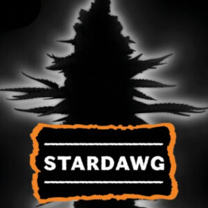 Stardawg Feminized Seeds by Seedstockers