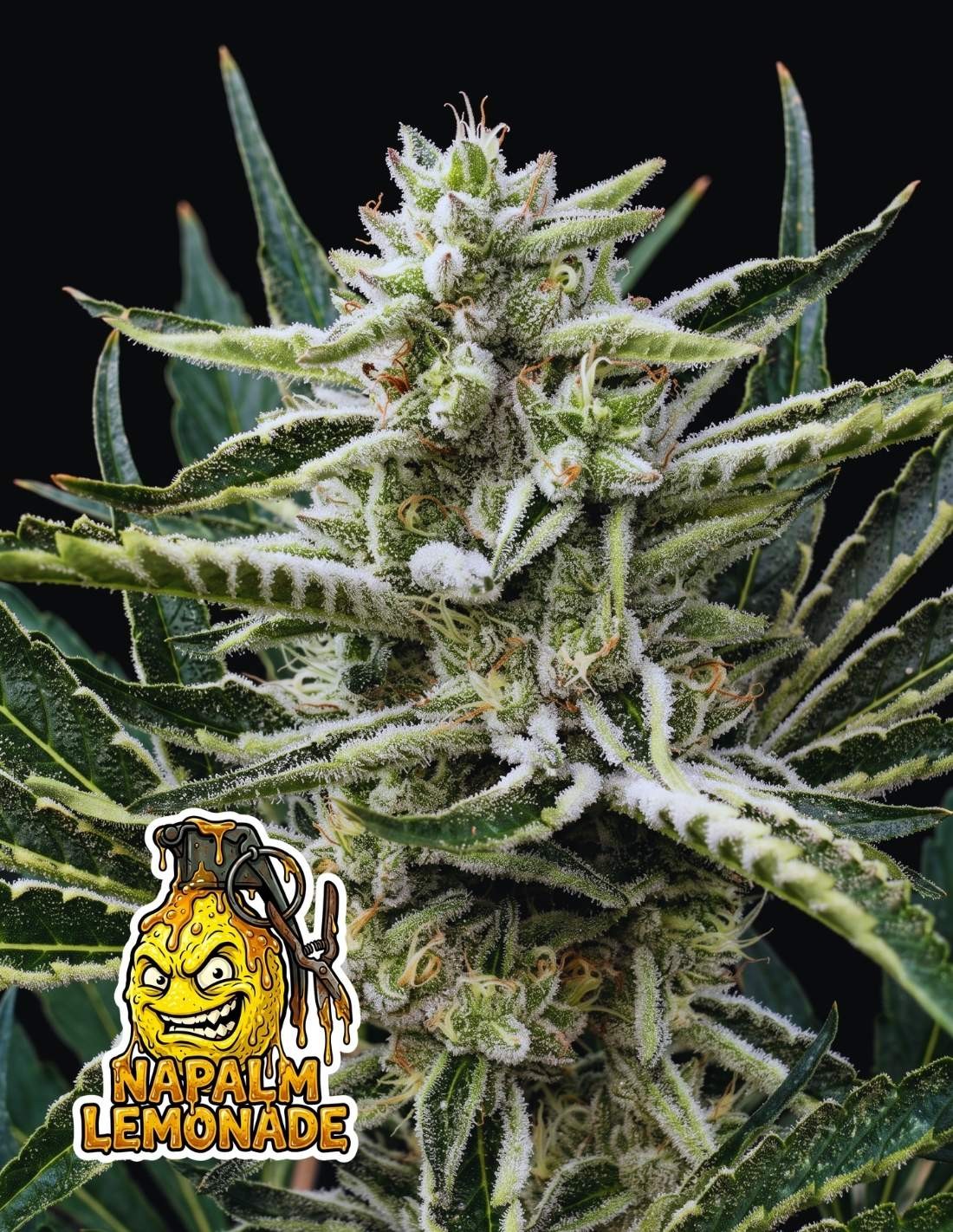 Napalm Lemonade